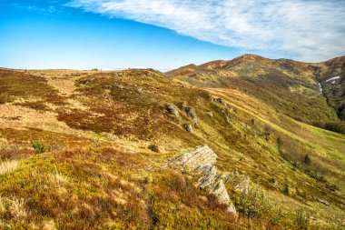 Dağ çayırında ilkbaharın başlarında. Bukowe Berdo dağ sırası, Bieszczady Milli Parkı, Karpatlar, Polonya.