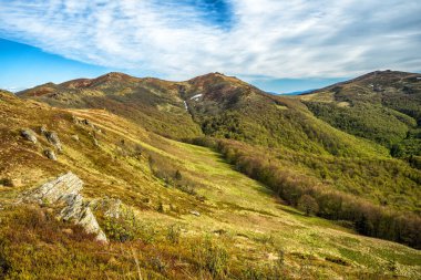 Dağ çayırında ilkbaharın başlarında. Bukowe Berdo dağ sırası, Bieszczady Milli Parkı, Karpatlar, Polonya.