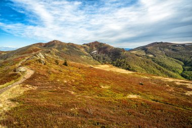 Dağ çayırında ilkbaharın başlarında. Bukowe Berdo dağ sırası, Bieszczady Milli Parkı, Karpatlar, Polonya.