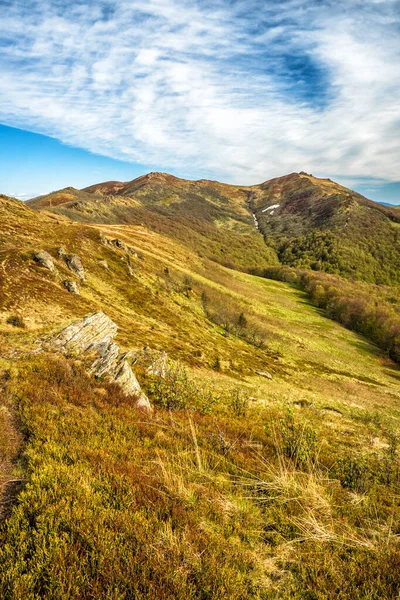 Vroeg Lente Bergweide Bukowe Berdo Gebergte Bieszczady National Park Karpaten — Stockfoto