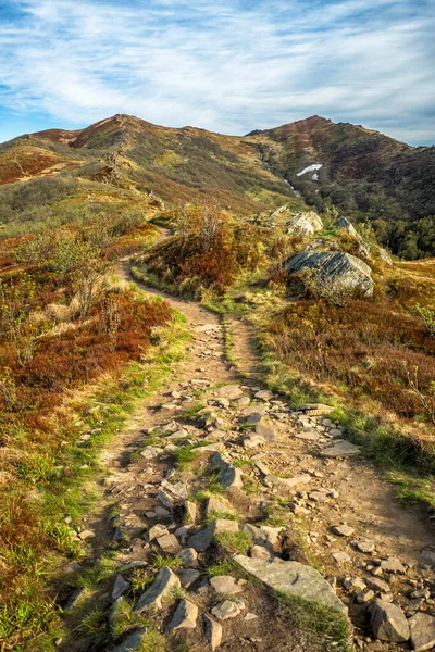 Dağ çayırında ilkbaharın başlarında. Bukowe Berdo dağ sırası, Bieszczady Milli Parkı, Karpatlar, Polonya.