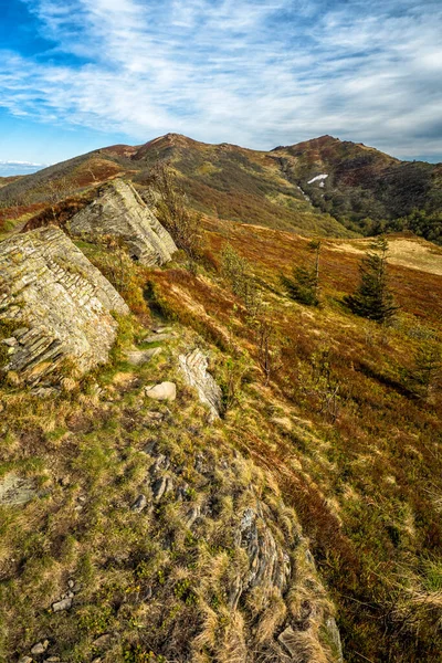 Primavera Temprana Prado Montaña Cordillera Bukowe Berdo Parque Nacional Bieszczady —  Fotos de Stock