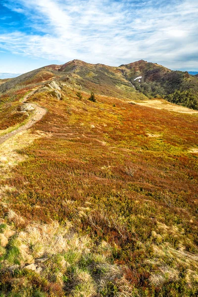 Dağ çayırında ilkbaharın başlarında. Bukowe Berdo dağ sırası, Bieszczady Milli Parkı, Karpatlar, Polonya.