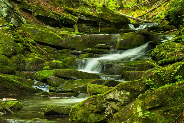 Primavera Nella Foresta Paesaggio Boschivo Torrente Tworylczyk Nelle Montagne Bieszczady — Foto Stock