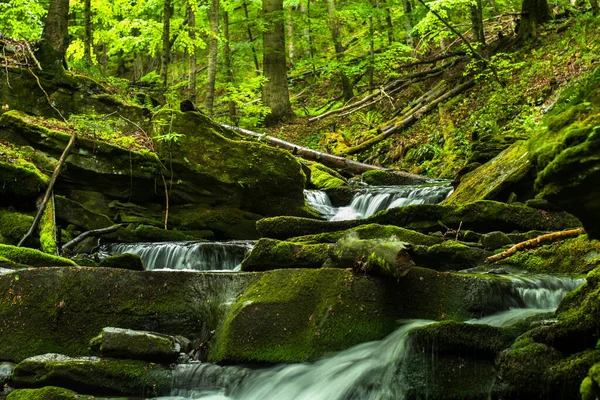 Primavera Nella Foresta Paesaggio Boschivo Torrente Tworylczyk Nelle Montagne Bieszczady — Foto Stock