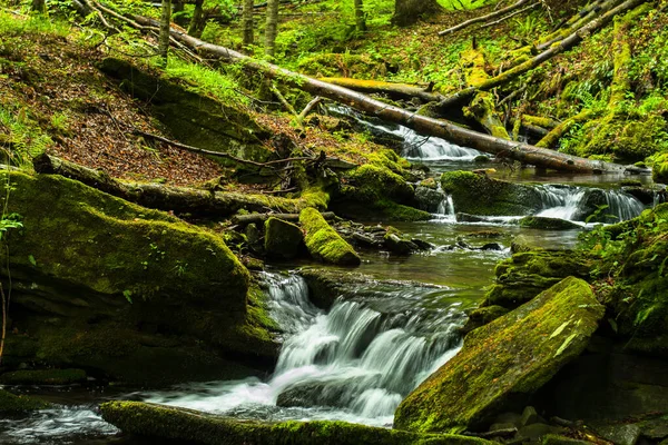 Primavera Nella Foresta Paesaggio Boschivo Torrente Tworylczyk Nelle Montagne Bieszczady — Foto Stock