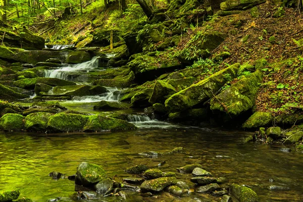 Primavera Floresta Paisagem Floresta Córrego Tworylczyk Nas Montanhas Bieszczady Cárpatos — Fotografia de Stock