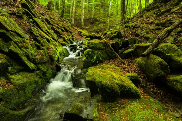 Spring Forest Woodland Scenery Tworylczyk Stream Bieszczady Mountains Carpathians Poland — Foto Stock