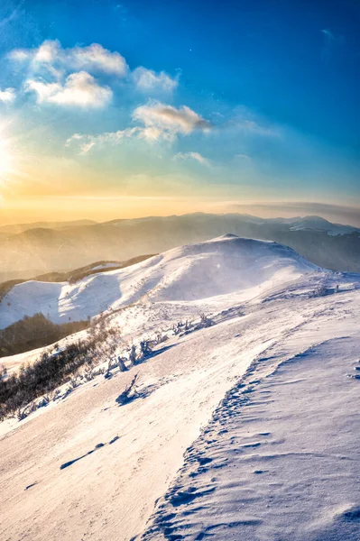 Dağ çayırında kış. Polonina Carynska. Bieszczady Ulusal Parkı, Karpatlar, Polonya.