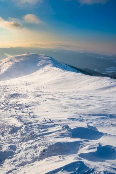 Dağ çayırında kış. Polonina Carynska. Bieszczady Ulusal Parkı, Karpatlar, Polonya.