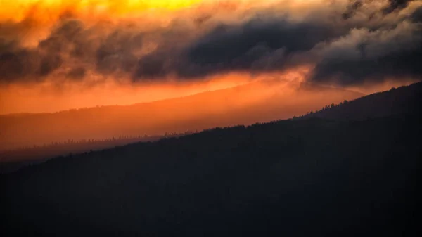 Bieszczady Nationalpark Karpaten Polen Sonnenaufgang Vom Berg Smerek Polonina Wetlinska — Stockfoto
