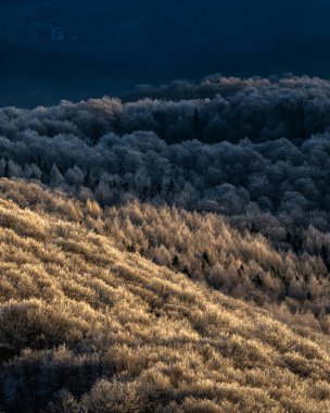 Bieszczady Ulusal Parkı, Karpatlar, Polonya. Polonina Carynska 'da günbatımı.