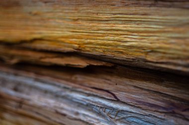 Taze ahşap ahşap doku geçmişi. Gri kızılağaç, benekli kızılağaç, Alnus incana