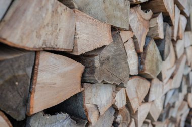 Kıştan önce kuruyan bir odun yığını.