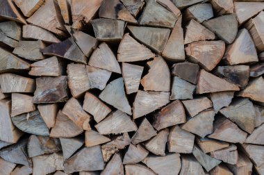 Kıştan önce kuruyan bir odun yığını.