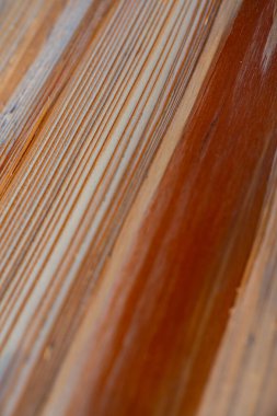 Taze ahşap ahşap doku geçmişi. Norveç ladini, Picea abileri.