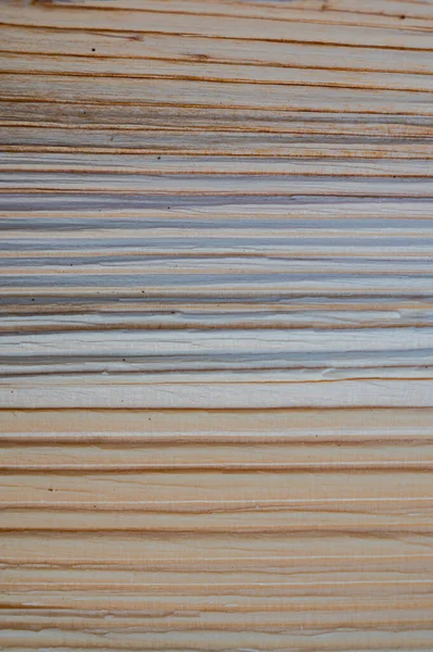 Madeira Fresca Log Textura Fundo Abeto Prata Europeu Abies Alba — Fotografia de Stock
