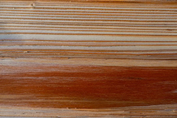 Fondo Textura Madera Fresca Abeto Noruega Picea Abies —  Fotos de Stock