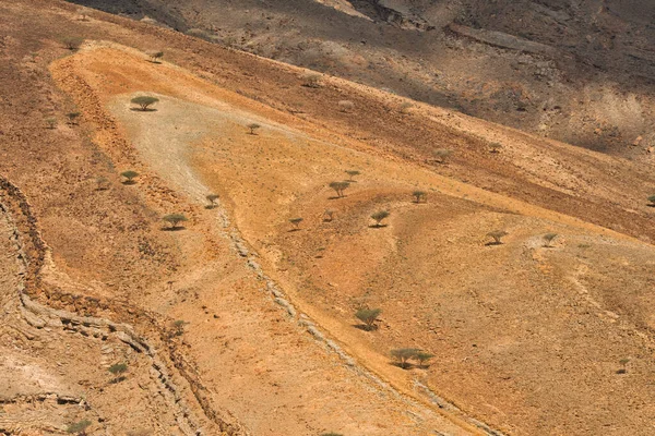 Fantastic Mountain Landscape Jibal Hajar Moutains Musandam Oman — Stockfoto
