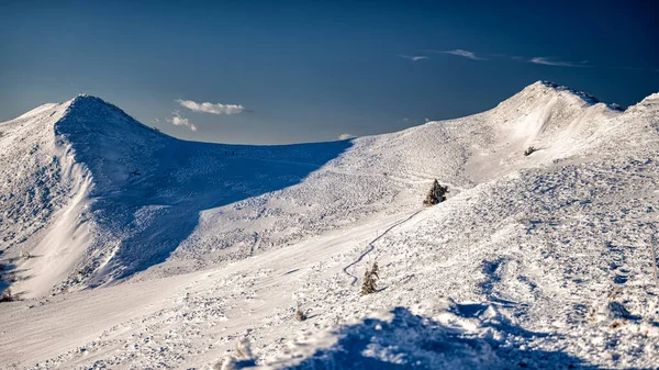 Zimowy Krajobraz Górski Góra Osadzki Wierch Polonina Wetlinska Bieszczady Park — Zdjęcie stockowe