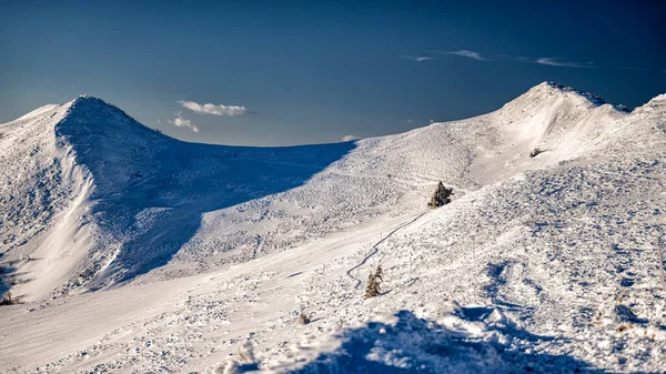 Paesaggio Montano Invernale Monte Osadzki Wierch Polonina Wetlinska Bieszczady National — Foto Stock