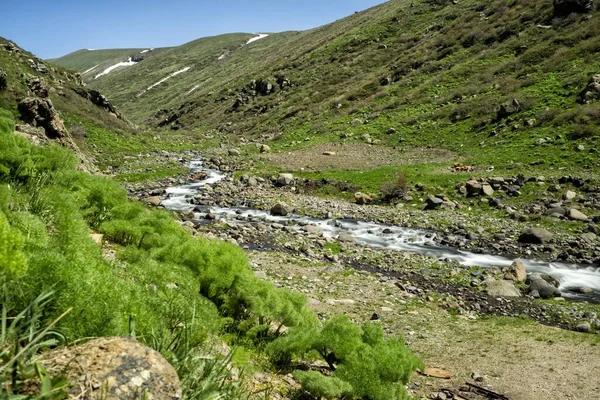 Cachoeiras Córrego Montanha Uma Paisagem Primavera Deliciosa Monte Aragats Arménia — Fotografia de Stock