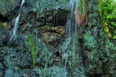 Bir şelaleye ve yosunlu kayalara yakın. Doğanın inanılmaz güzelliği. Shaki şelalesi. Ermenistan