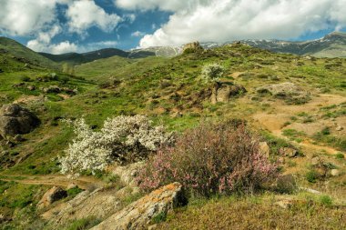 Güzel bir dağ manzarası. Hoş bir bahar manzarası. Zangezur Dağları. Ermenistan.