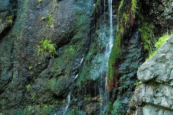 Nahaufnahme Eines Wasserfalls Und Moosiger Felsen Die Erstaunliche Schönheit Der — Stockfoto