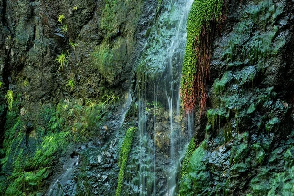 Fechar Uma Cachoeira Pedras Musgosas Beleza Incrível Natureza Cachoeira Shaki — Fotografia de Stock