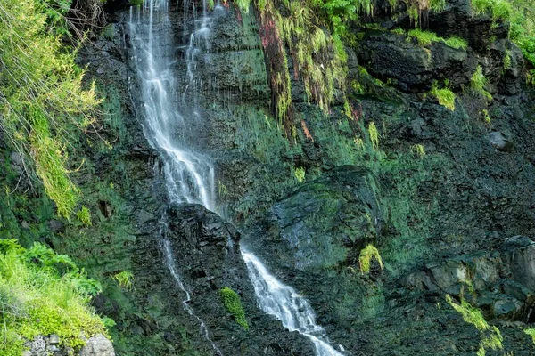 Primer Plano Una Cascada Rocas Musgosas Increíble Belleza Naturaleza Cascada — Foto de Stock