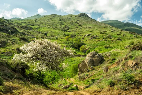 Uma Bela Paisagem Montanhosa Uma Vista Maravilhosa Primavera Montanhas Zangezur — Fotografia de Stock