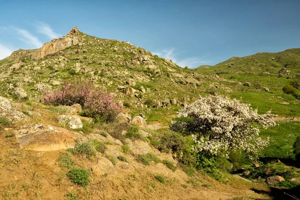 Uma Bela Paisagem Montanhosa Uma Vista Maravilhosa Primavera Montanhas Zangezur — Fotografia de Stock
