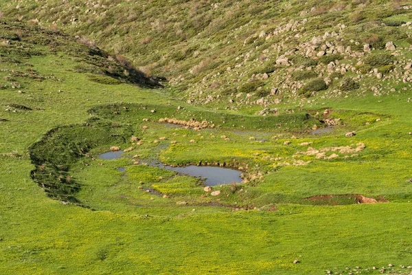 Wspaniały Wiosenny Krajobraz Górski Góra Aragats Armenia — Zdjęcie stockowe