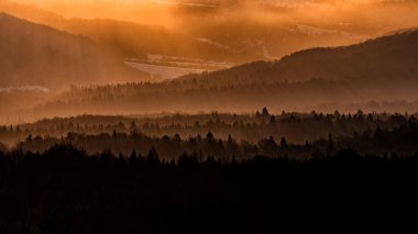 Gün doğumunda dağ ormanı. Arkadaki ağaçların ve dağların siluetleri. Bieszczady Dağları, Polonya.