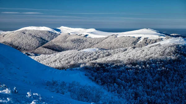 Kış Dağı Manzarası Bieszczady Dağları Polonya Polonina Wetlinska Wielka Dağı — Stok fotoğraf