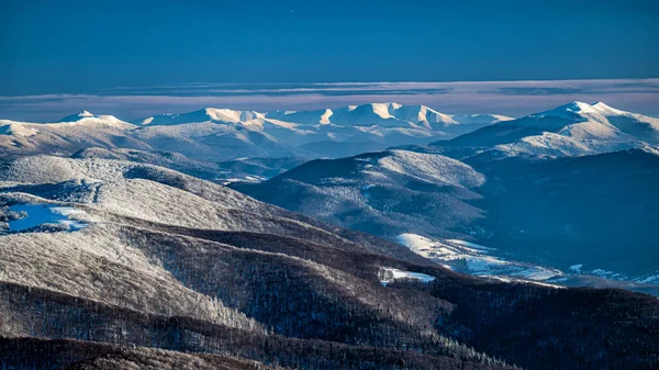 Kış Dağı Manzarası Bieszczady Dağları Polonina Borshava Polonya Ukrayna — Stok fotoğraf