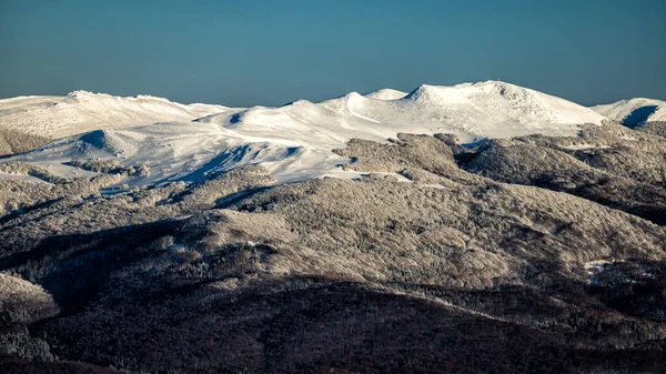 Paesaggio Montano Invernale Montagne Bieszczady Polonia Monte Tarnica — Foto Stock