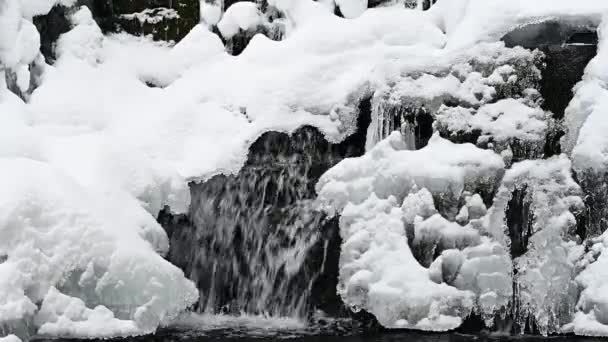 Uma Cachoeira Coberta Neve Congelada Córrego Montanha Bieszczady Mountains Cárpatos — Vídeo de Stock