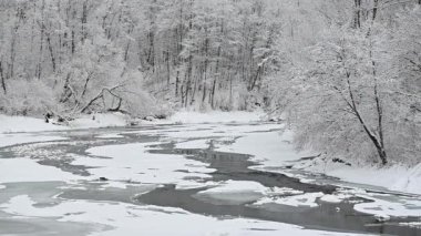 Kışın San River Vadisi 'nde. Bieszczady Dağları, Karpatlar, Polonya.