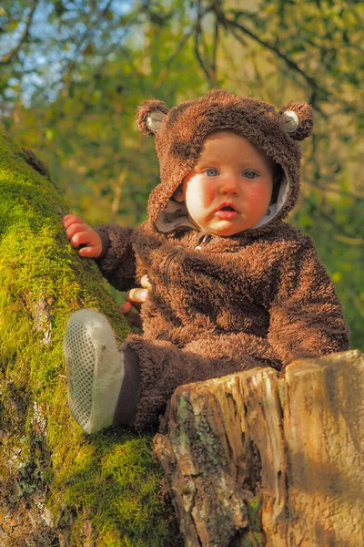 Una Niña Linda Disfrazada Oso — Foto de Stock