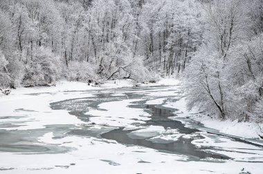 Kışın San River Vadisi 'nde. Bieszczady Dağları, Karpatlar, Polonya.
