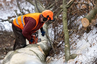 Kışın ormanda çalışan bir oduncu. Karpat Dağları, Polonya.