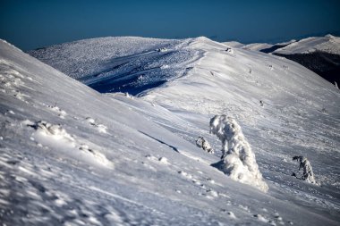 Kış manzarası, Polonina Carynska, Bieszczady Ulusal Parkı, Polonya.