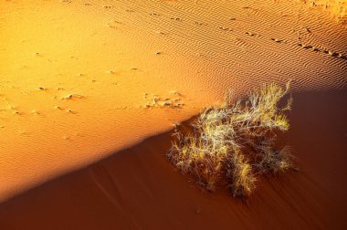 Olağanüstü bir çöl-dağ manzarası. Wadi Rum Koruma Alanı, Ürdün.