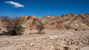Ürdün-Suudi sınırı yakınlarındaki Akabe şehri ile Wadi Rum Koruma Alanı arasındaki dağlar. Tutun, Jordan..