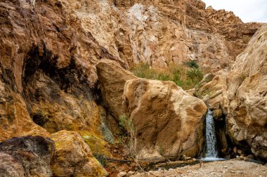 Ölü Deniz yakınlarındaki Wadi Attun 'un Rocky geçidi, Moab Platosu, Ürdün.