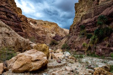 Ölü Deniz yakınlarındaki Wadi Attun 'un Rocky geçidi, Moab Platosu, Ürdün.