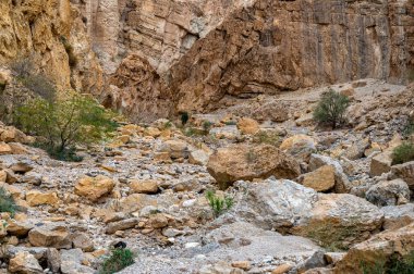 Ölü Deniz yakınlarındaki Wadi Karak 'ın Rocky geçidi, Moab Platosu, Ürdün.