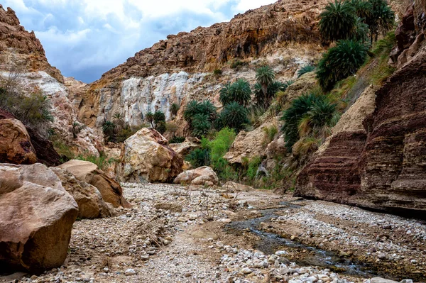 モアブ高原 ヨルダンの近くのワディターンのロッキー峡谷 — ストック写真